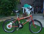 Julie Strongs Mint Mk1 Grifter